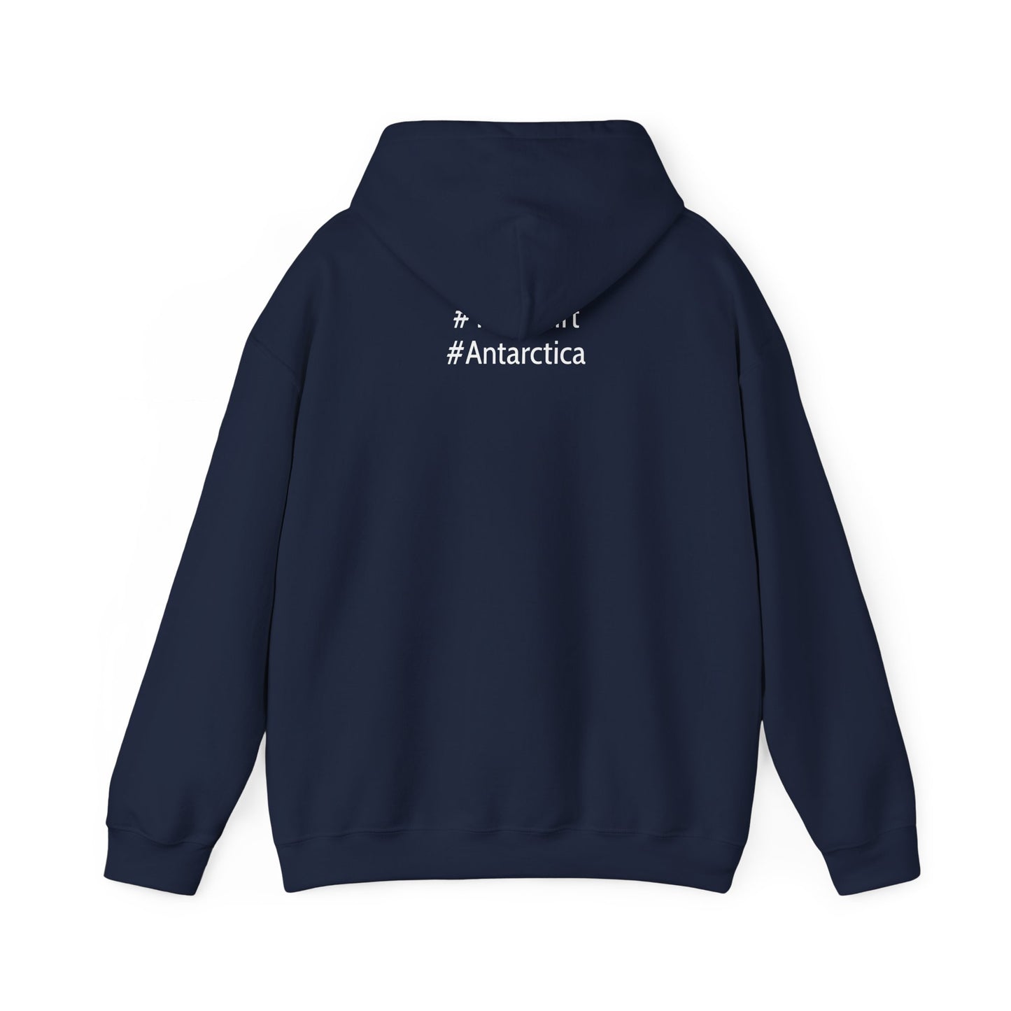 Ice Ice Save E Unisex Hooded Sweatshirt - Eco-Friendly Awareness Fashion