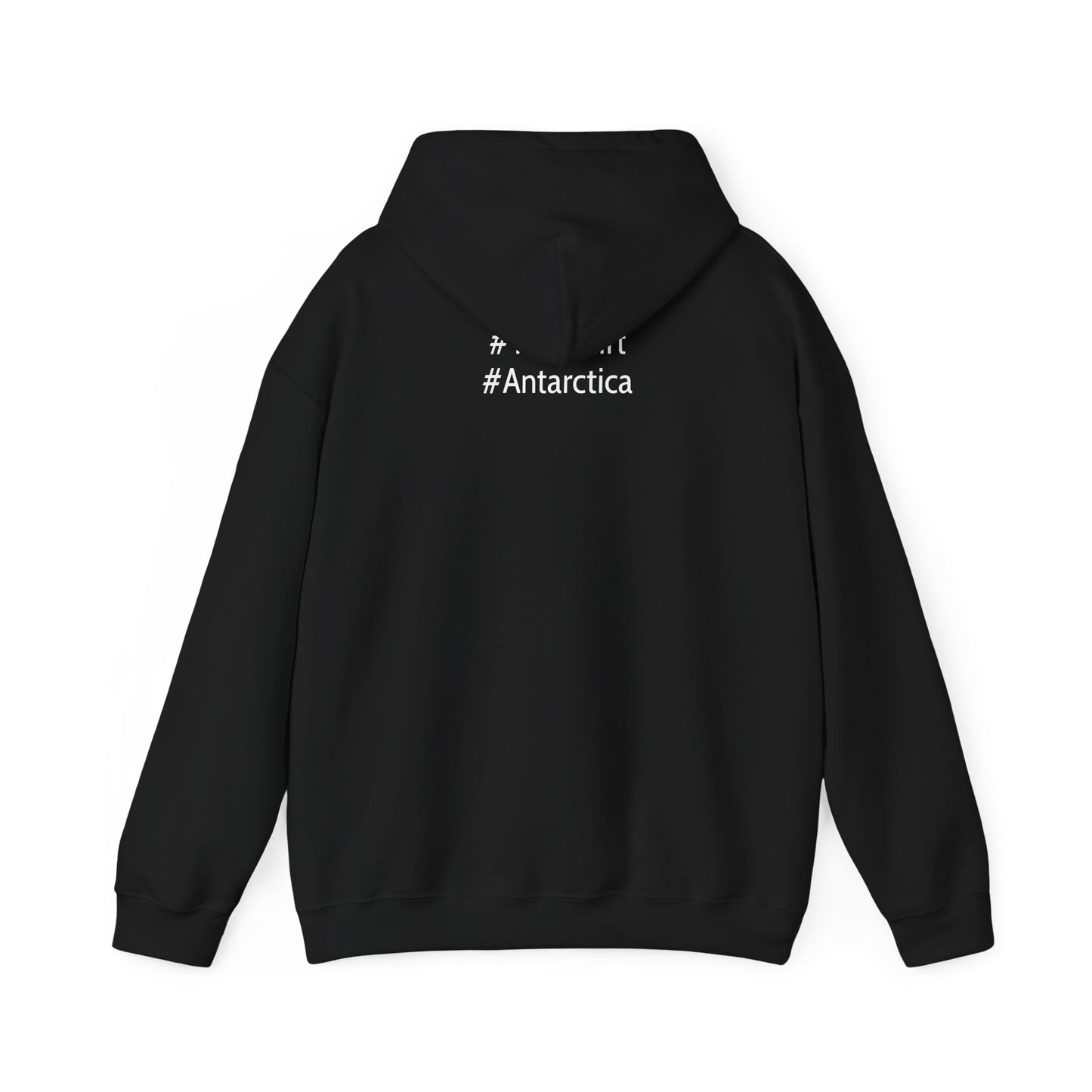 Ice Ice Save E Unisex Hooded Sweatshirt - Eco-Friendly Awareness Fashion