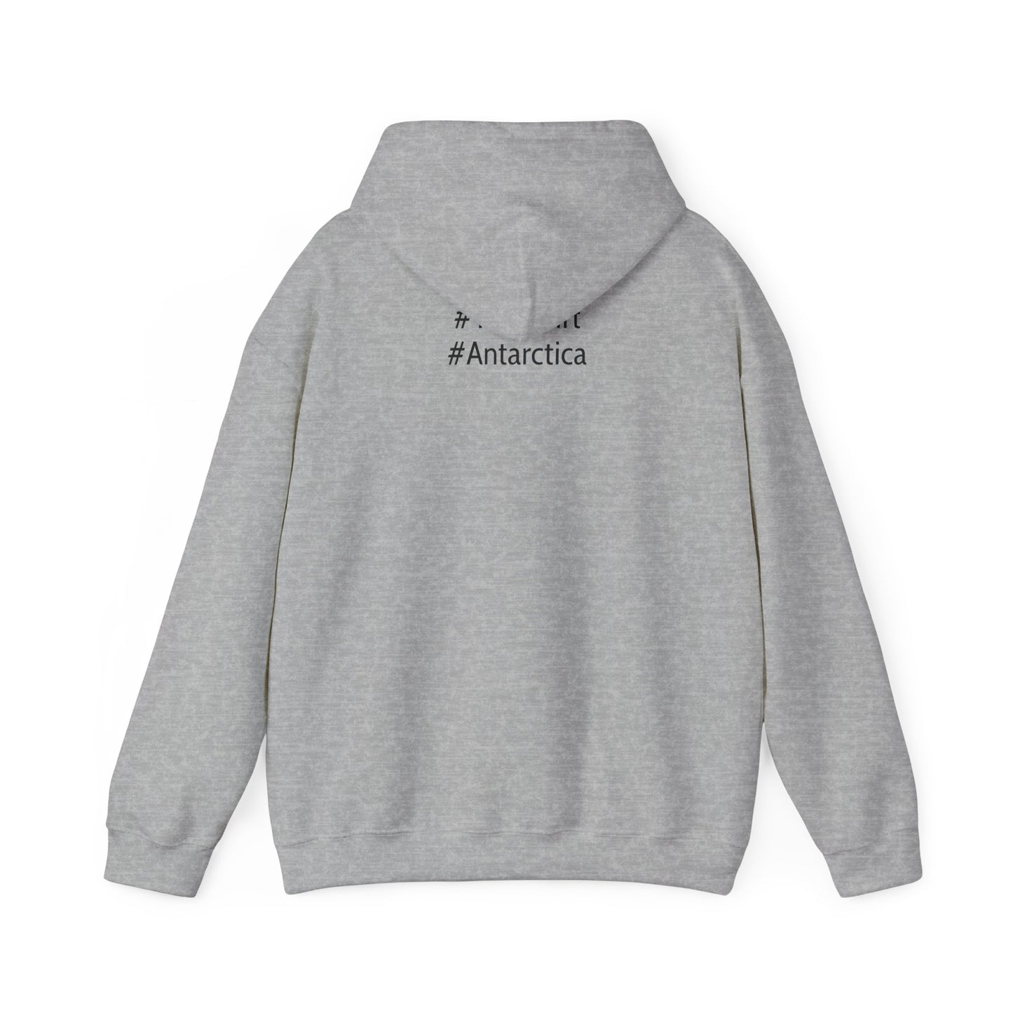 Ice Ice Save E Unisex Hooded Sweatshirt - Eco-Friendly Awareness Fashion